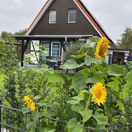 Ferienhaus Kiebitz 도룸 노이펠트 외부 사진