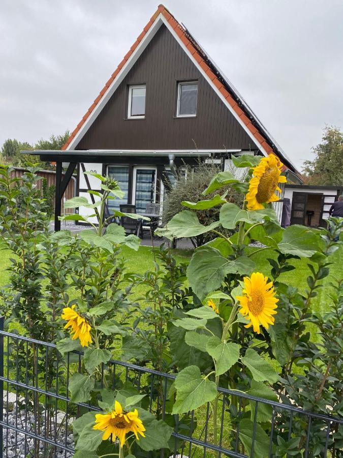 Ferienhaus Kiebitz 도룸 노이펠트 외부 사진